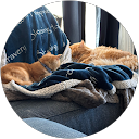 Riley's Rescue profile picture